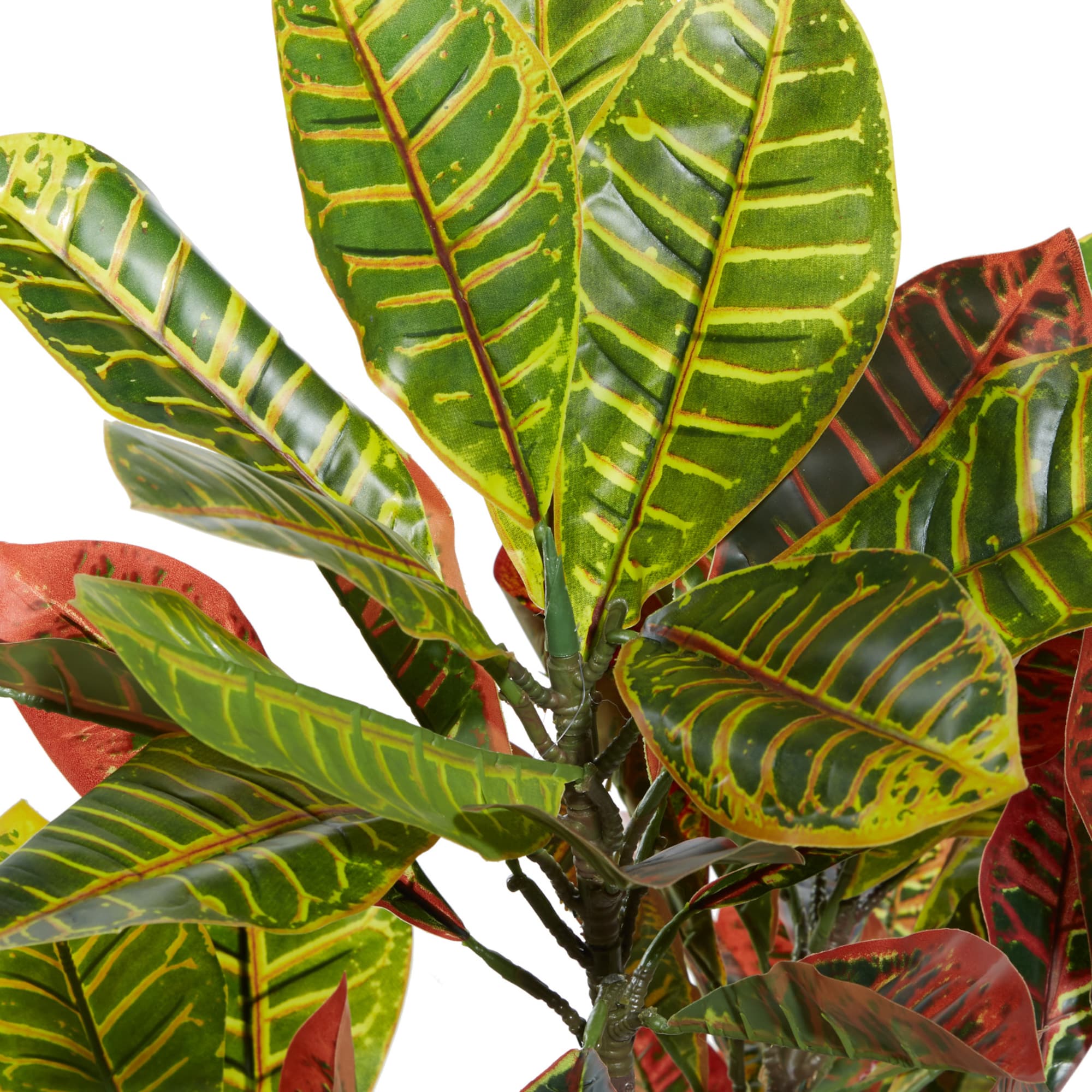 46" Potted Croton Shrub Tree
